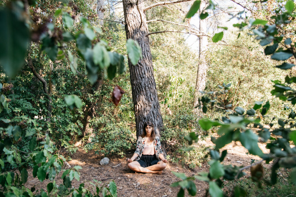 Méditation avec les arbres alpes maritimes