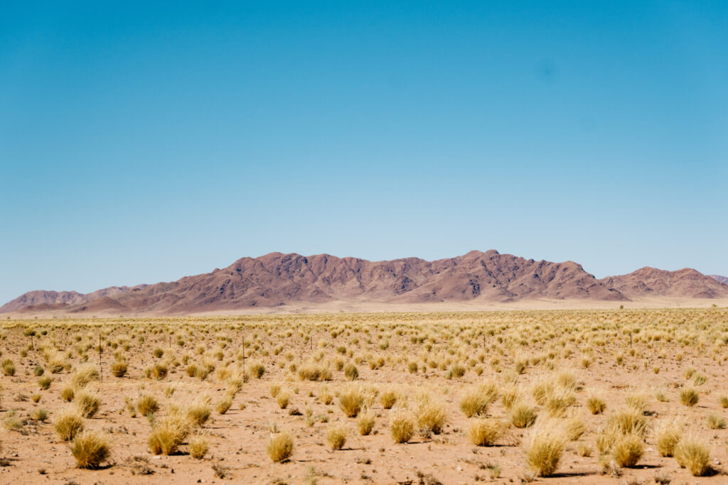 Roadtrip Namibie en famille