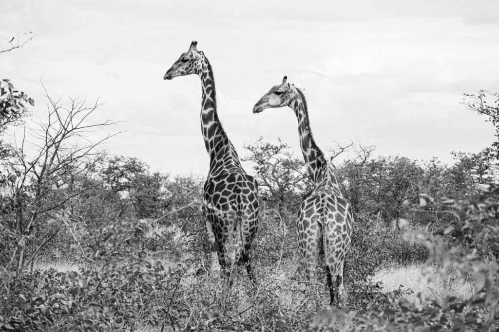 Namibie en famille