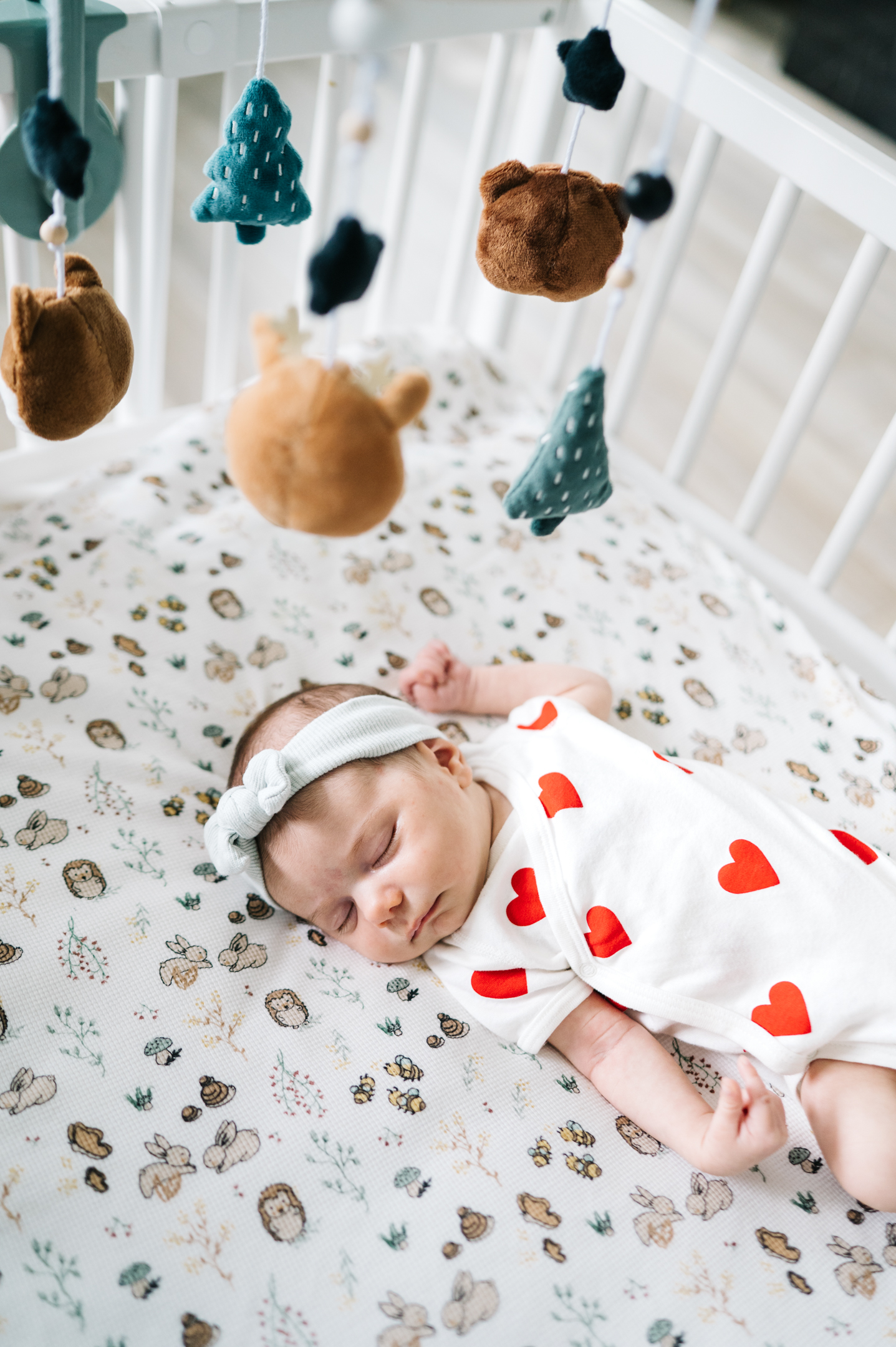 Photographe Nice - naissance - alpes maritimes